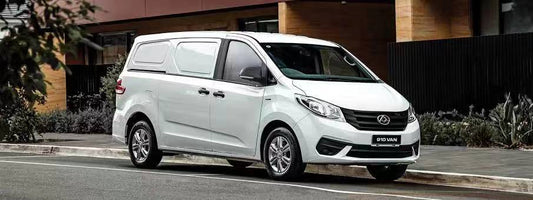 2021 LDV G10